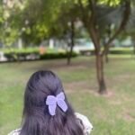 Bow Clip