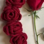 Rose Gajra
