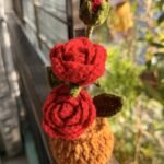 Rose Flower Pot