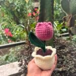 Crochet Tulip Top
