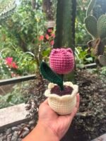 Crochet Tulip Top