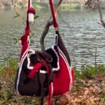 Convertible Tote Bag