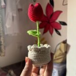 Rose Tulip With Pot