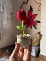 Rose Tulip With Pot