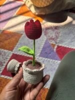 Rose Tulip With Pot - Image 2