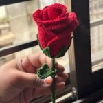 Lover's Rose