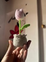 Rose Tulip With Pot - Image 3